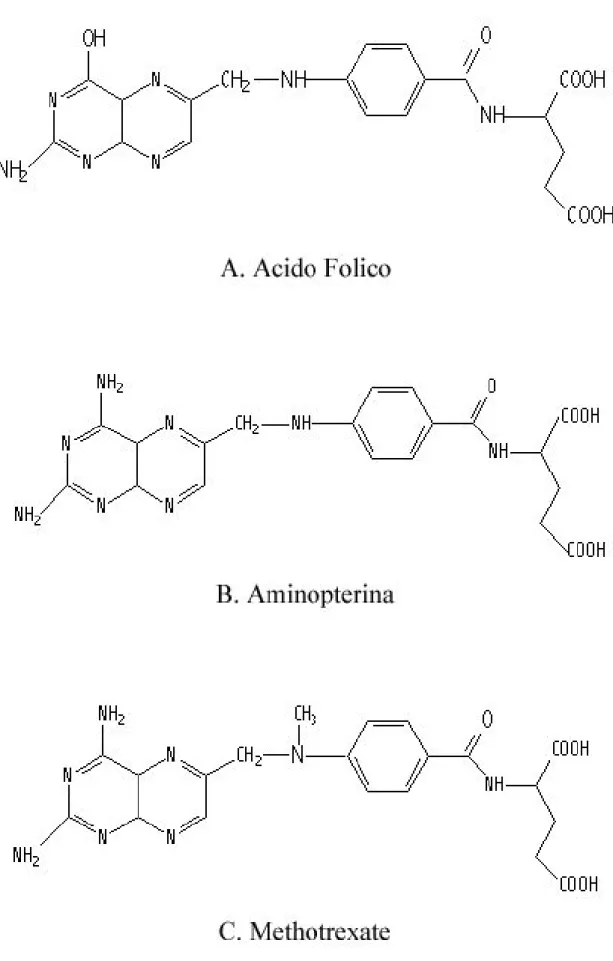 Figura 4: Struttura molecolare dell'acido folico e degli antifolato aminopterina e methotrexate.