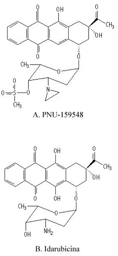 Figura 12: Struttura molecolare del PNU-159548 e della antraciclina Idarubicina.