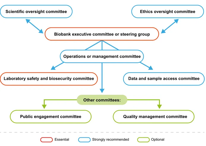 Fig. 1. Sample committee structure for internal biobank governance.