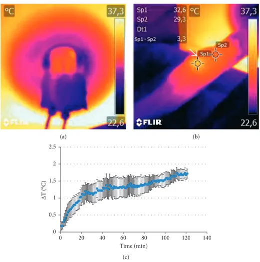 Figure 3: Analysis of temperature within tumor mass. (a) Thermal map acquired with the animal placed inside the coil