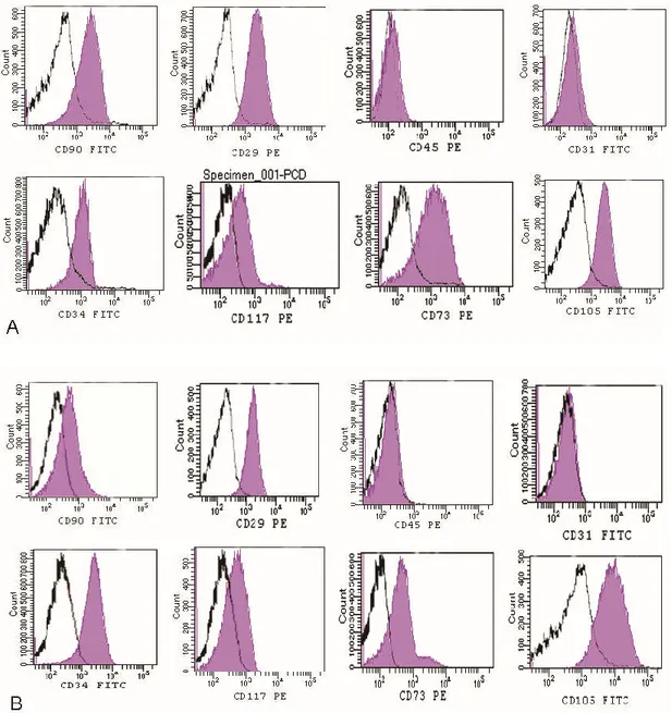 Figure 3. Flow cytometry analysis of the non-enzymatic method (A) detected the presence of a cell  population that we had previously identified [17,23,32]: including CD34 (35%), CD73 (60%), CD105  (70%) CD90 (70%), CD117 (29%), CD29 (78%), while the cells 