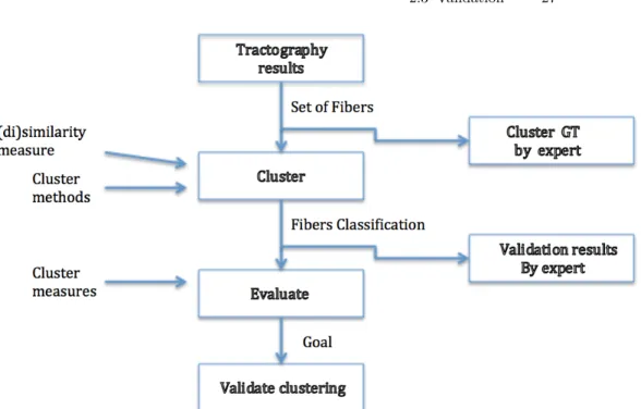 Fig. 2.4: Tractography results Scheme of clustering validation.