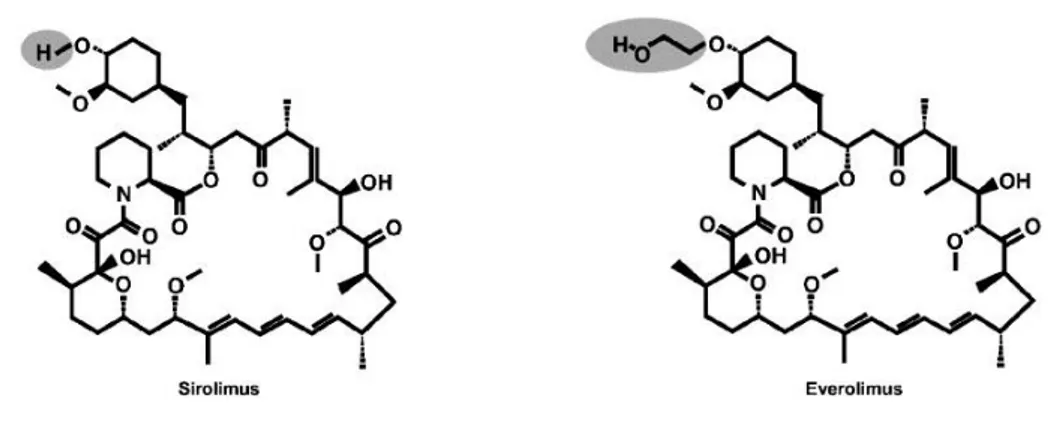 Figura 2. Struttura molecolare del Sirolimus e dell’Everolimus. 