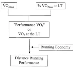 Figure 2 - Simplified diagram of the linkage between maximal aerobic power (V ˙ O 2max ), the percentage of  maximal aerobic power (% V ˙ O 2max ) and running economy as they relate to distance running performance