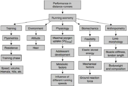 Figure  6 - Factors affecting running economy from Saunders P.U., Pyne D.B. Telford R.D