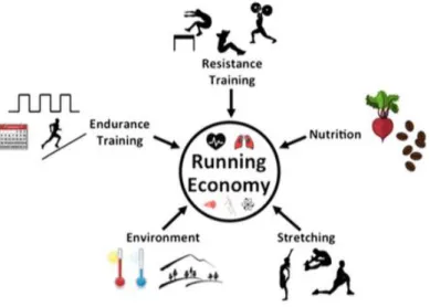 Figure 7 - Diagram of strategies to improve running economy from K.R. Barnes K.R., Kilding A