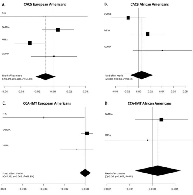 Figure 6 – Meta-analysis of GRS 62  association testing with CACS, CCA-IMT, ICA-IMT  measures across all study cohorts stratified by European and African Americans