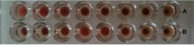 Figure 3 Hemagglutination test. 