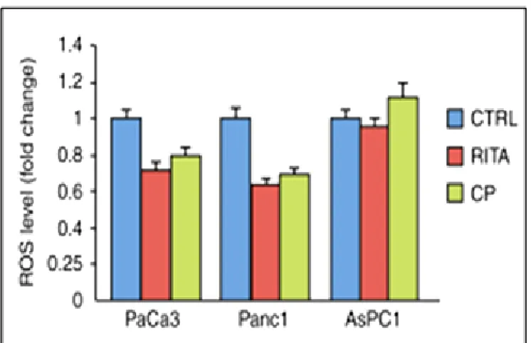Figure 14: Reactivators of wtp53 decrease ROS production in both wtp53 (PaCa3) and mutp53  (Panc1) PDAC cells