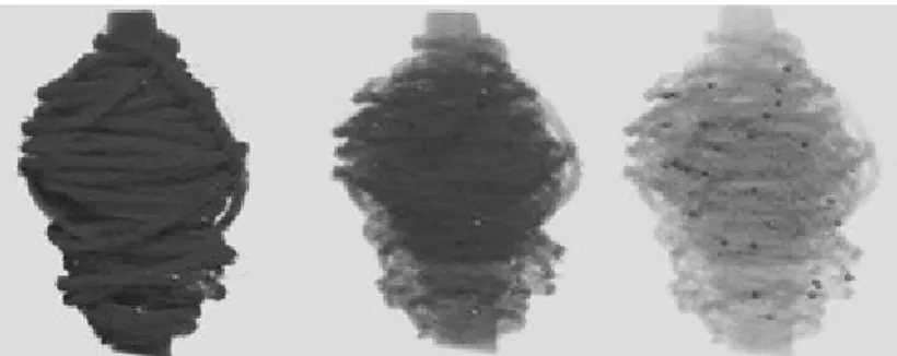 Figure 1.  3D reconstruction of a textile yarn used in micro tomography analysis with                   different transparency 