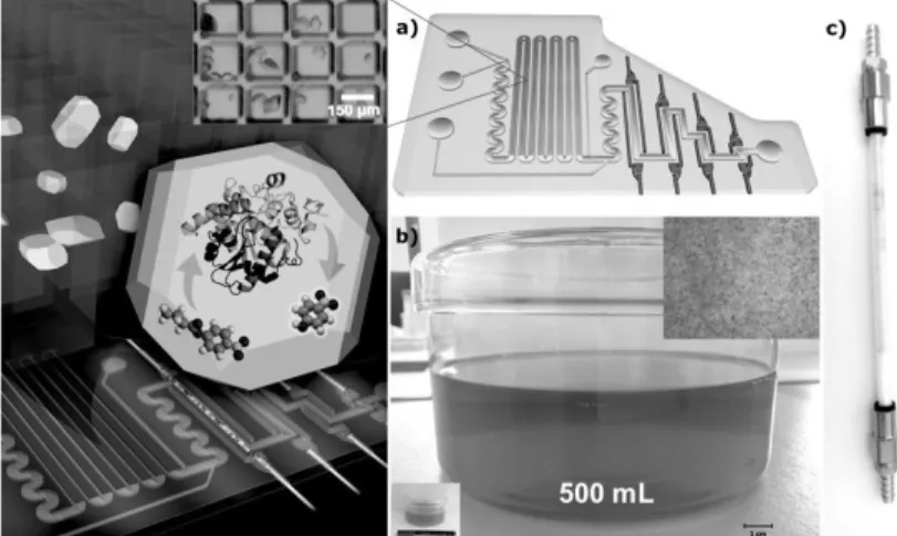 Figure 1. a) Microfluidic reactor filled with CL-Lipase Crystals, b) batch production of agarose reinforced  CLLC and packed chromatographic column filled with CLLCs