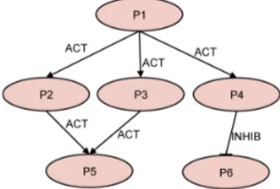 Figure 2: An example of protein network