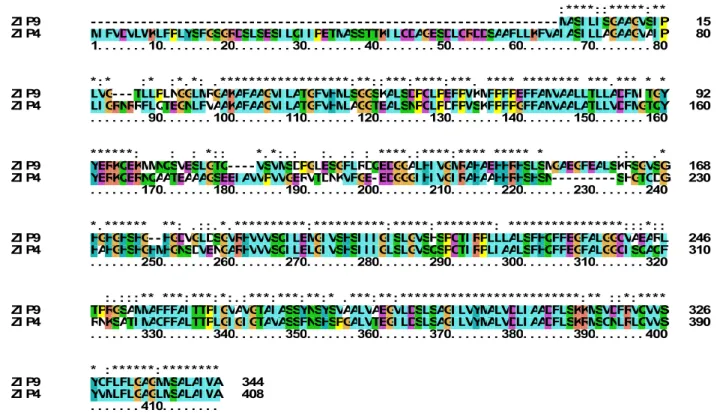 Figure 4.14: Sequence alignments for ZIP4 and ZIP9. Amino acid sequences were aligned using  CLUSTAL X v 2.1 (Larkin et al., 2007)