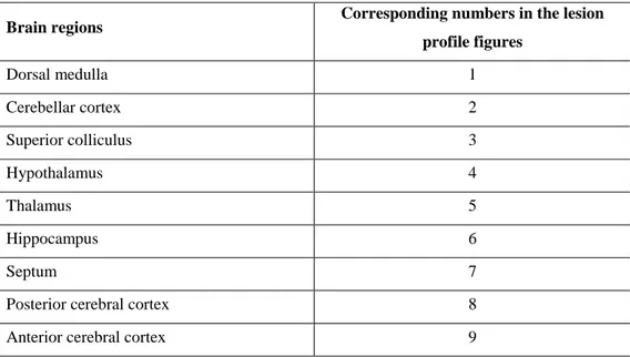 Table 3. 2.  List of the brain regions of HuTg mice and corresponding numbers used to build up                                          the “lesion profile” curves