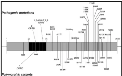 Figure 1. 2.  Mutations and polymorphisms of the prion protein associated with human TSEs (from Wadsworth et al.,  2003)