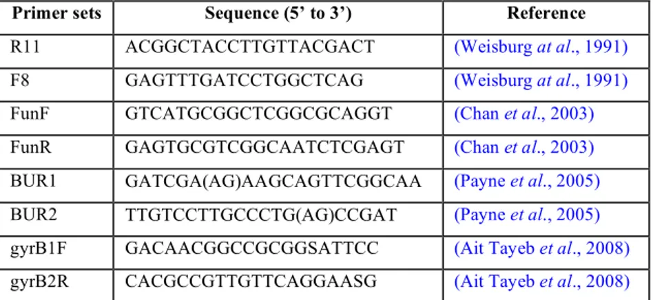 Tab. 2.3: Primers used for amplification of 16S, and the fragment of recA and gyrB. 