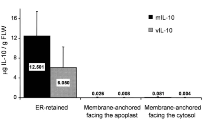 Figure 2), showed that both mIL-10 and vIL-10 accumu- accumu-lated to the highest levels in the ER (up to 10–16 μg/g fresh leaf weight (FLW))