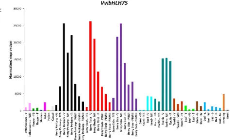 Figure 1: VviNAC33 (A), VviNAC60 (B) VviAGL15a (C), VviWRKY19 (D) and VvibHLH75 (E) expression  profiles in 54 grape organs at different developmental stages; transcriptomic data were obtained by a 