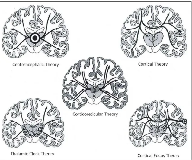 Figure 1.1. Schematic impression of the 5 theories on the origin of generalized absence epilepsy
