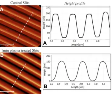 Figure 1. AFM phase image of (A) untreated small slits and (B) small slits treated with 1 min of plasma stream