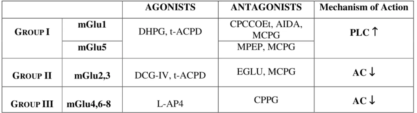 Table 1. Summary of mGluR subclasses and of compounds used for this study  