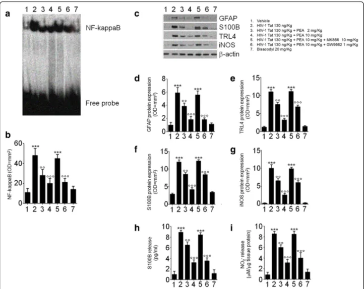 Fig. 3 PEA inhibits HIV-1 Tat-induced inflammatory response in rat submucosal plexus-EGCs