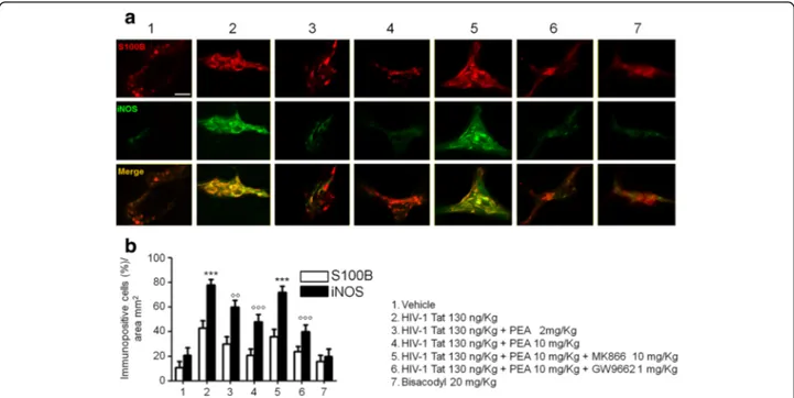 Fig. 4 PEA reduces S100B/iNOS expression in submucosal plexi of HIV-1 Tat-treated rat