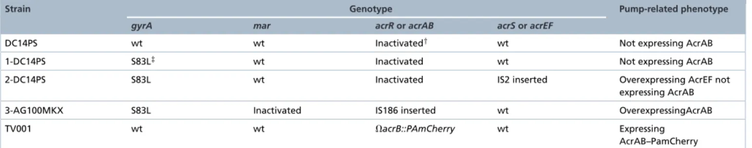Table 1. Genotype and pump related phenotype of the Escherichia coli strains used in this work.