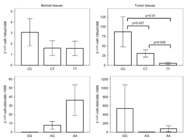 Figure 2 Comparison of expression of miR-196a2 and miR-499 in benign lung and NSCLC tissues stratified according to respective genotype.