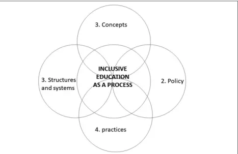 Fig. 3 – Dimensioni dell’Educazione Inclusiva secondo il Resource Pack 