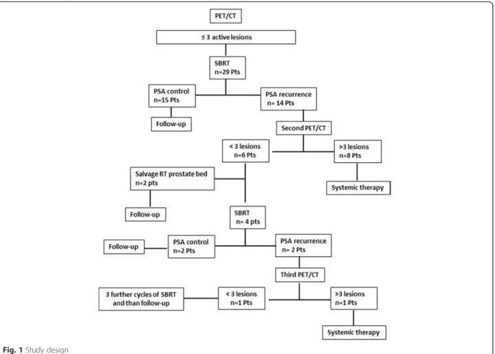 Fig. 1 Study design