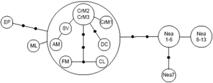 Figure 2. Genetic relationships among the Paglicci 23 and other relevant mtDNA sequences