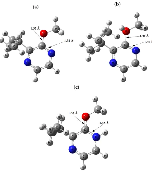 Figure 5.1: Optimized structures of 5.1a neutral, 5.1b O–site protonated, 5.1c N–site pro- pro-tonated 2-sec-butyl-3-methoxypyrazine molecule.