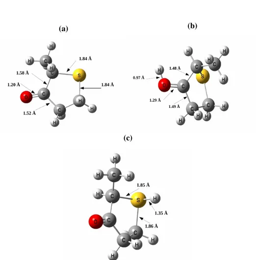 Figure 5.4: Optimized structures of 5.4a neutral, 5.4b H–O site protonated, 5.4c H–S site protonated 2-methyltetrahydrothiophen-3-one molecule.