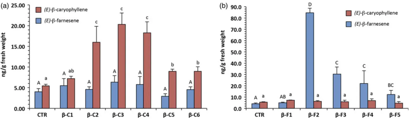 Figure 3 Volatile collection and analysis of the whole above-ground part of grapevine plants using CLSA-GC-MS