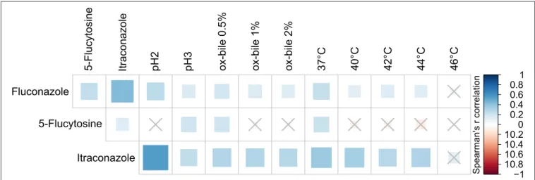 FIGURE 6 | Spearman’s r correlation analysis between antifungals susceptibility and growth ability of the tested fungal isolates under different stress conditions