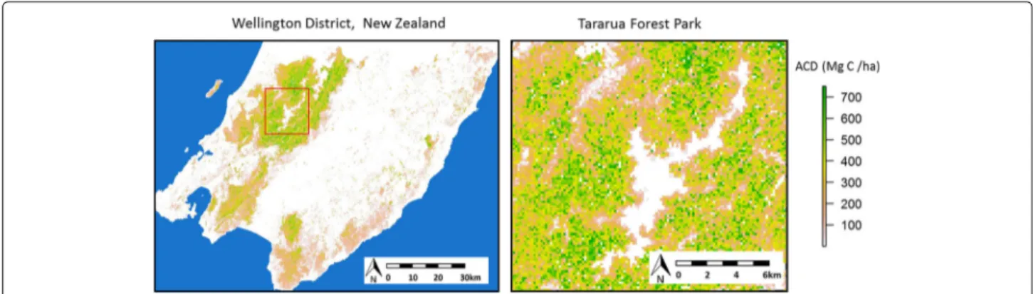 Fig. 5 Map of aboveground carbon density of natural forests in the Wellington Region of New Zealand and in the Tararua Range (red box)