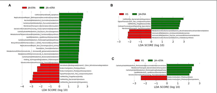 FIGURE 5 | Metabolic function prediction associated to the microbiota profiles. LEfSe analysis, performed on metabolic functions inferred by PICRUSt analysis shows statistically significant enrichment of KEGG categories in (A) JIA-ERA vs