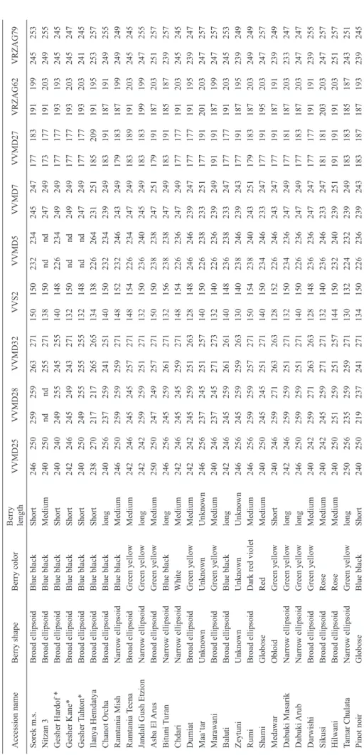 Table SSR allele size at nine microsatellite loci, in 27 representative Israeli grapevine accessions of unique genotypes