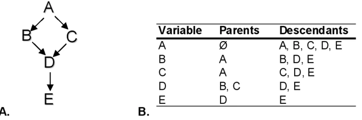 Figure 2.4: Representation and classification of the variables of a DAG G.