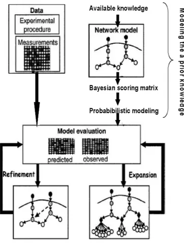 Figure 2.11: Representation of the Gat-Viks and Ron Shamir methodology (adapted from Gat-Viks and Shamir [2007]).