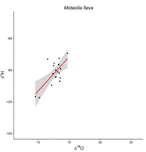 Figure 3: Relationships between δ 2 H f  and δ 18 O f  values  for the Tree Pipit Anthus trivialis (n=18)