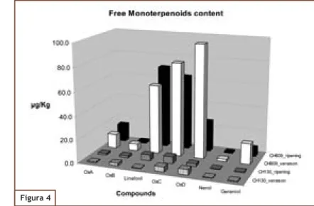 Fig. 4 - Contenuto in microgrammi  per chilo di bacche di alcuni  monoterpeni liberi analizzati