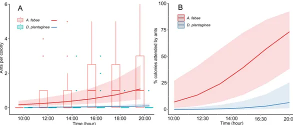 Figure 3. (A) Boxplot of the number of ants attending D. plantaginea and A. fabae colonies over time in  greenhouse experiment and predicted values (±95% confidence intervals) of the GLMM