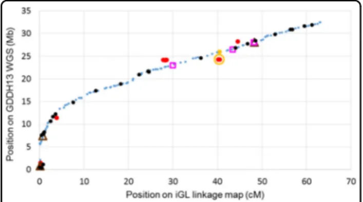 Fig. 1 Haploblock markers of LG 1 plotted for position on the GDDH13 reference WGS compared to that on the iGL genetic linkage map.
