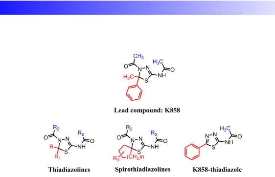 Figure 1: structures of lead compound K858 and its newly synthesized analogues. 