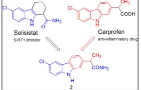 Figure 1. A scheme of the interaction pattern reported for a pseudopeptidic inhibitor in SIRT3