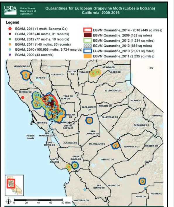 Figure 3. European grapevine moth (EGVM) detections and quarantine areas established in  California counties during the eradication programme 2009-2016 (source R