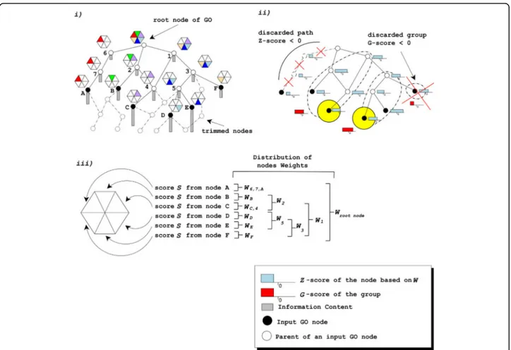 Figure 1 Argot2 algorithm. i) Position of the retrieved nodes in the GO graph (black circles) with their weights (W)