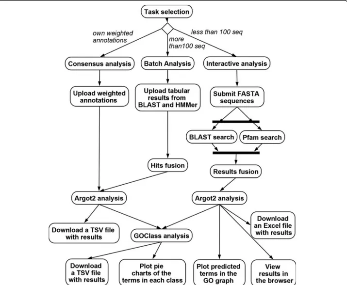 Figure 2 Activity diagram of the Argot2 web server. Activity diagram of the Argot2 web server showing the three types of access: